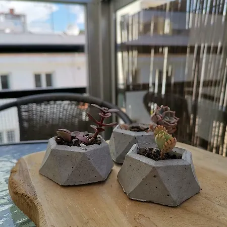 San Miguel Torremolinos