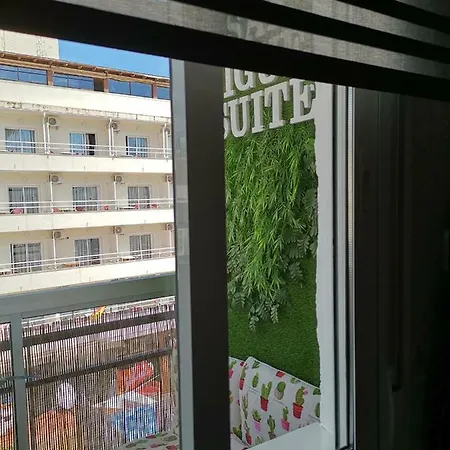 San Miguel Lägenhet *