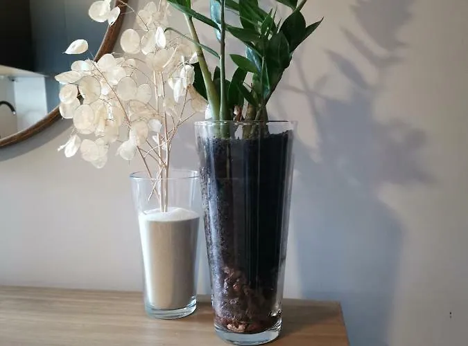 San Miguel Appartement Torremolinos