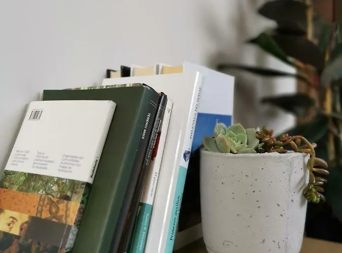 San Miguel Torremolinos